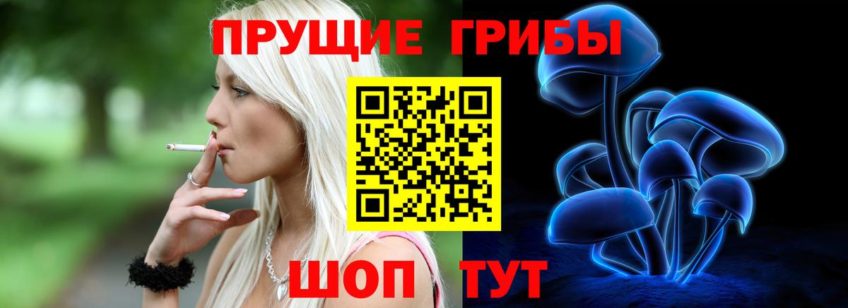 Ставрополь  Галлюциногенные грибы Cubensis  Вход с VPN 
